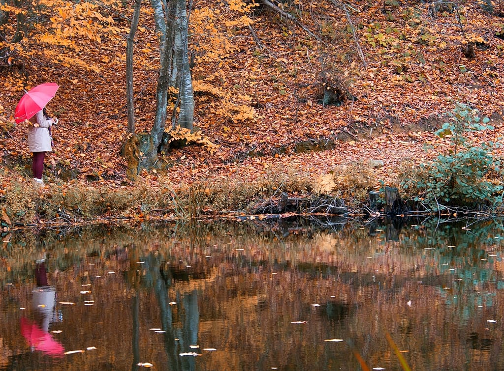 Enver Naiboğlu - Dipsiz göl