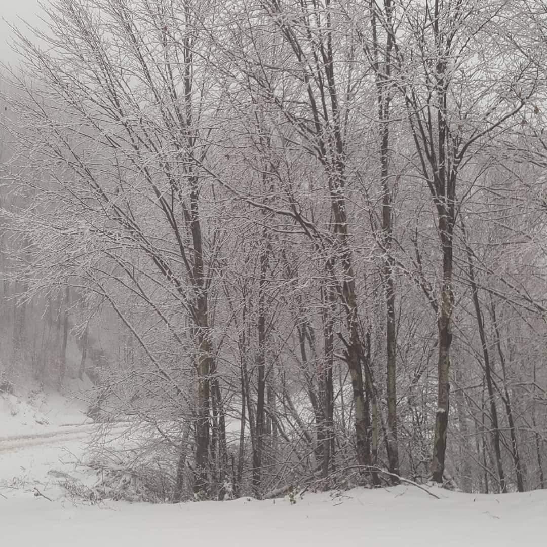 KARLIK YAYLASI MASALLARDAKİ GİBİ..