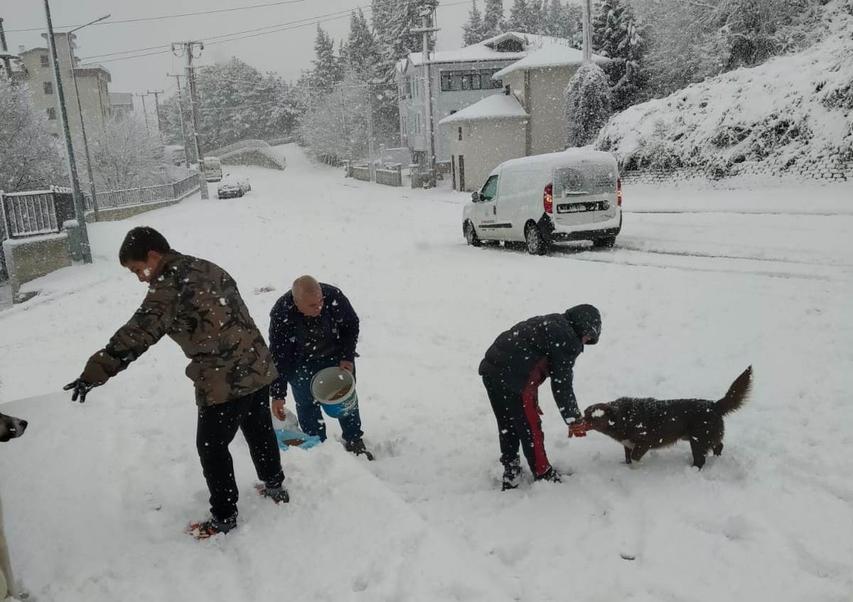 Altınova’da can dostlar emin ellerde