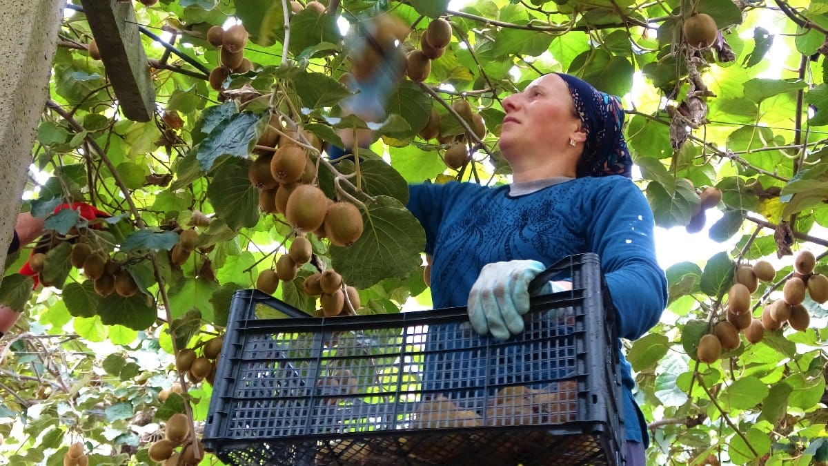 3DB212E9-853B-4ED3-A9CF-2C5F7183226B