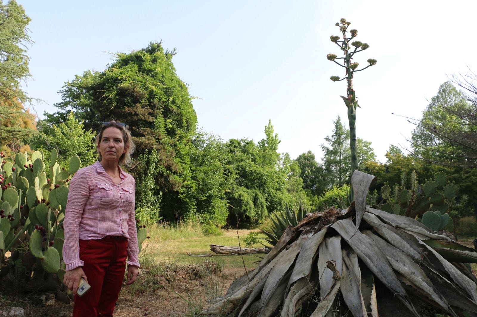 karaca arboretum (4)