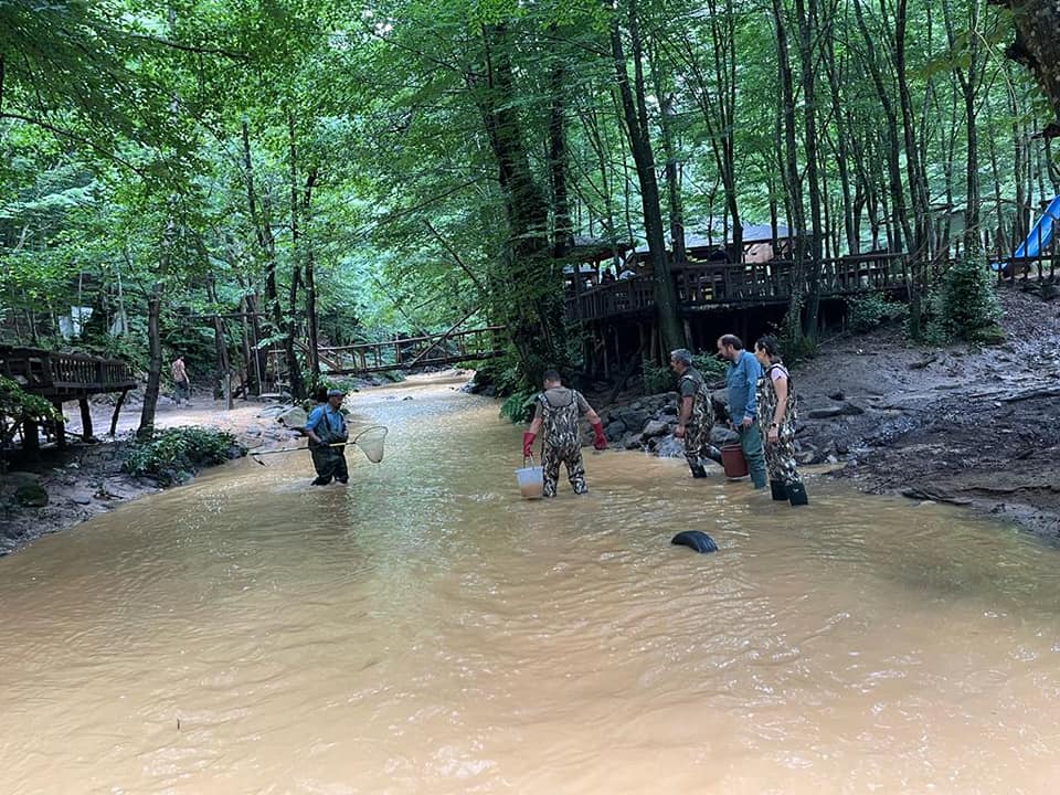 TATLISU KEFALİ KORUMA ALTINDA (2)
