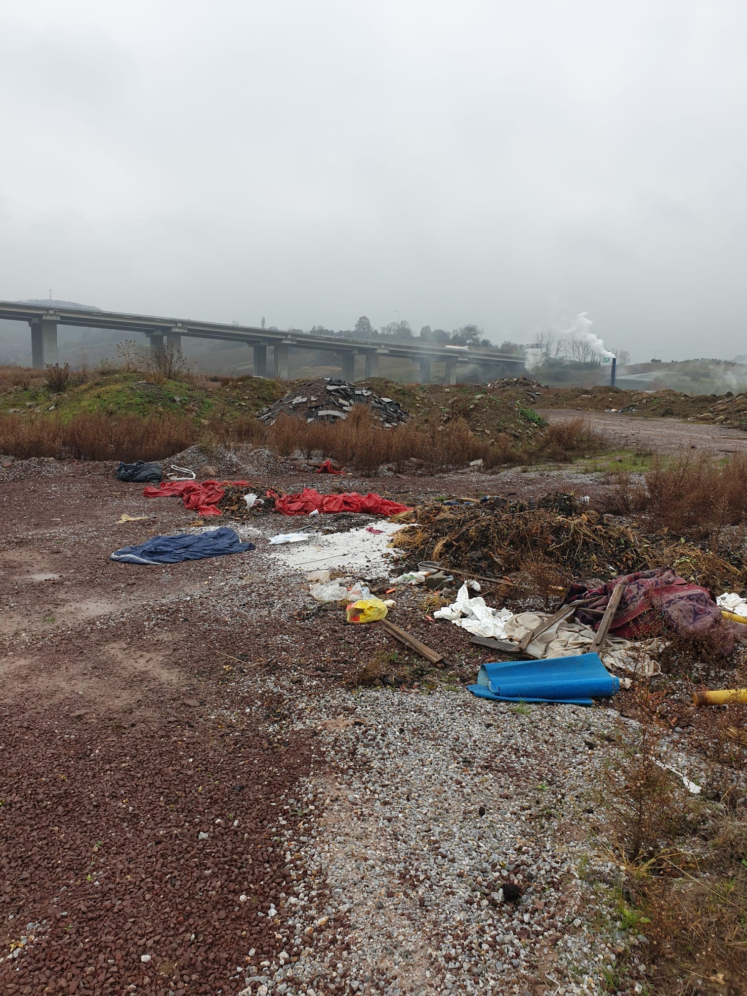 a14362cd-7d6d-437c-a66c-b58581115506