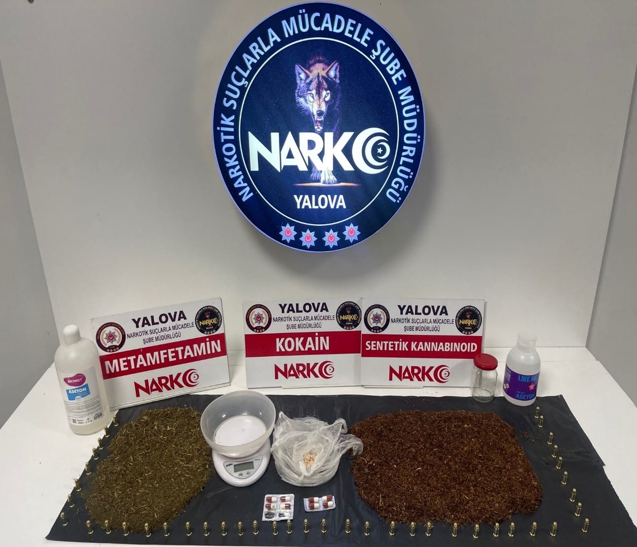 WhatsApp Image 2024-04-09 at 10.50.10