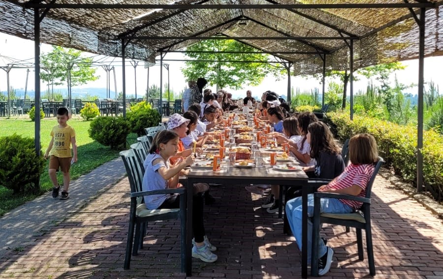 e248cbc1-51df-4ca9-83b7-4938fd13a57d