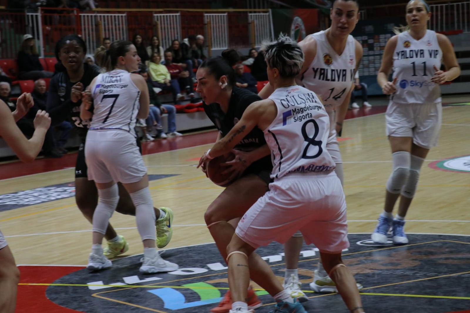 TKBL’DE İLK HAFTA PROGRAMI AÇIKLANDI