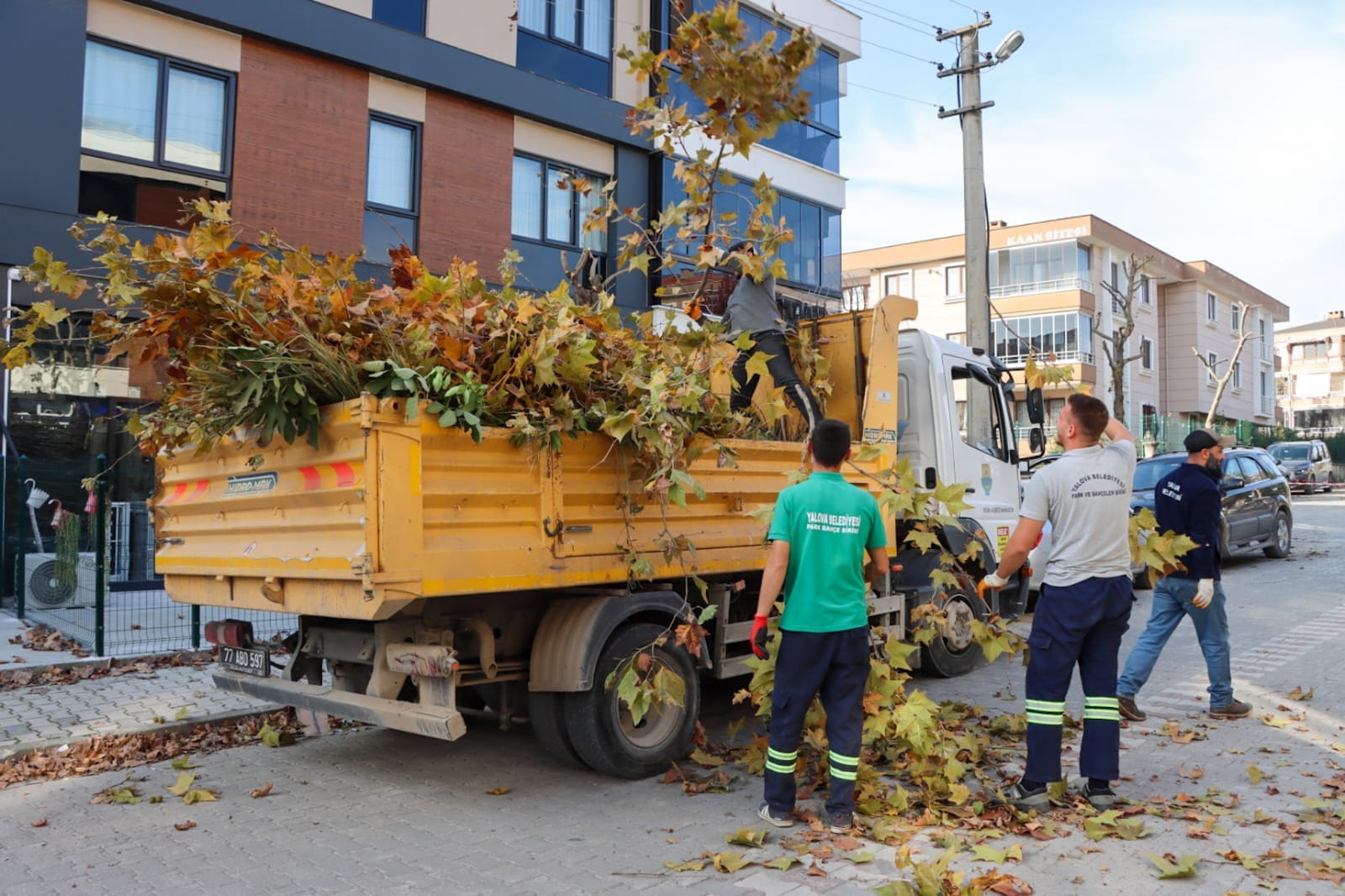 belediye mahallemde (9)
